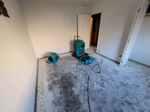 Best Professional water damage repair  in Coos Bay, OR