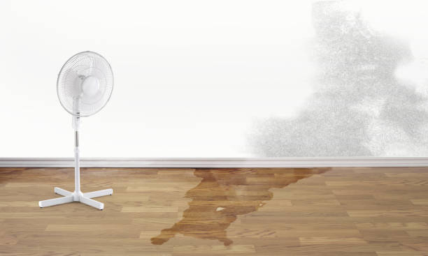 Best Commercial water damage restoration  in Coos Bay, OR