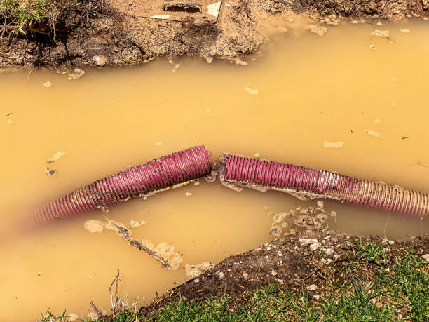 Best Flood damage cleanup  in Coos Bay, OR
